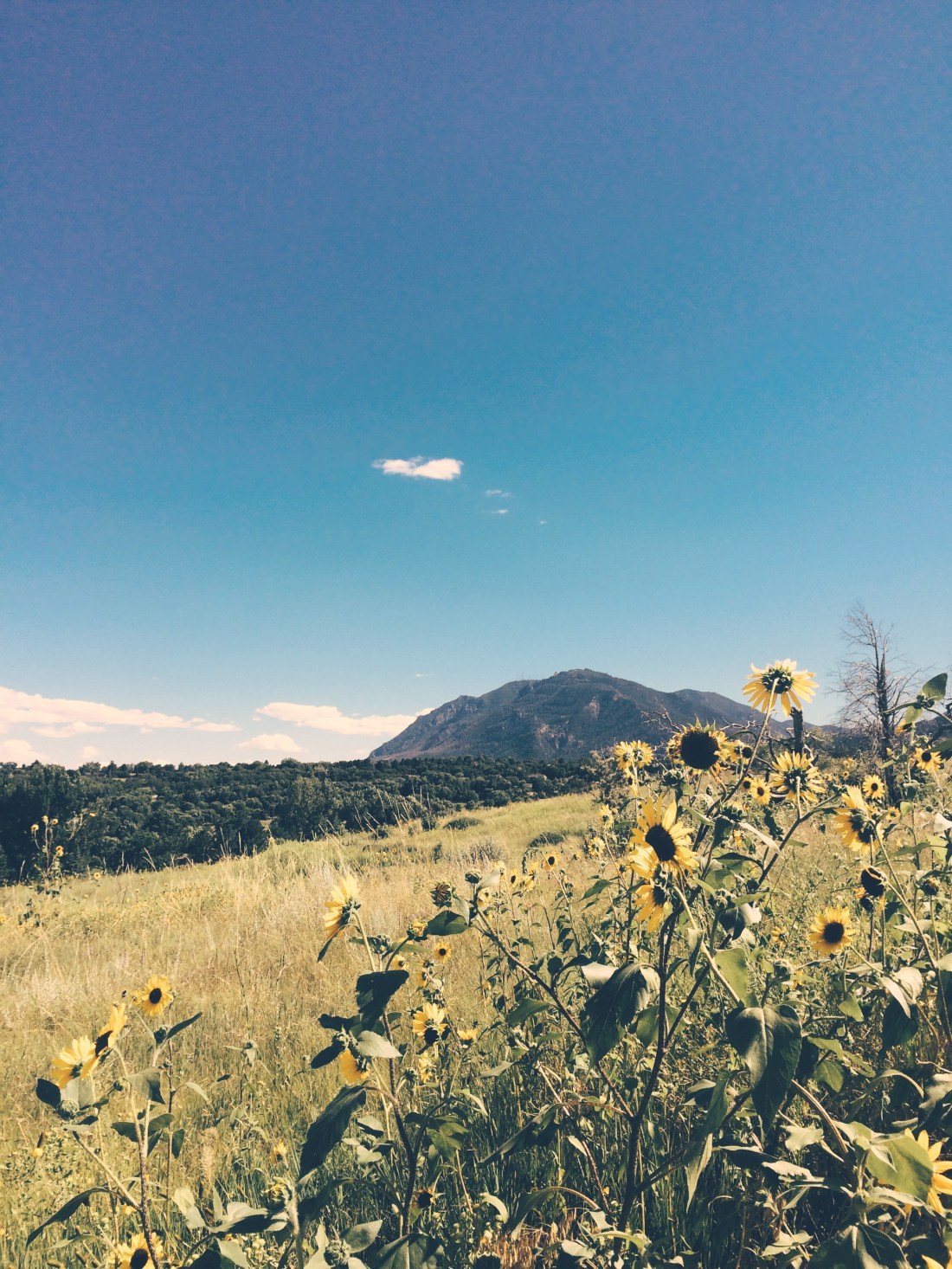 Processed with VSCOcam with p8 preset