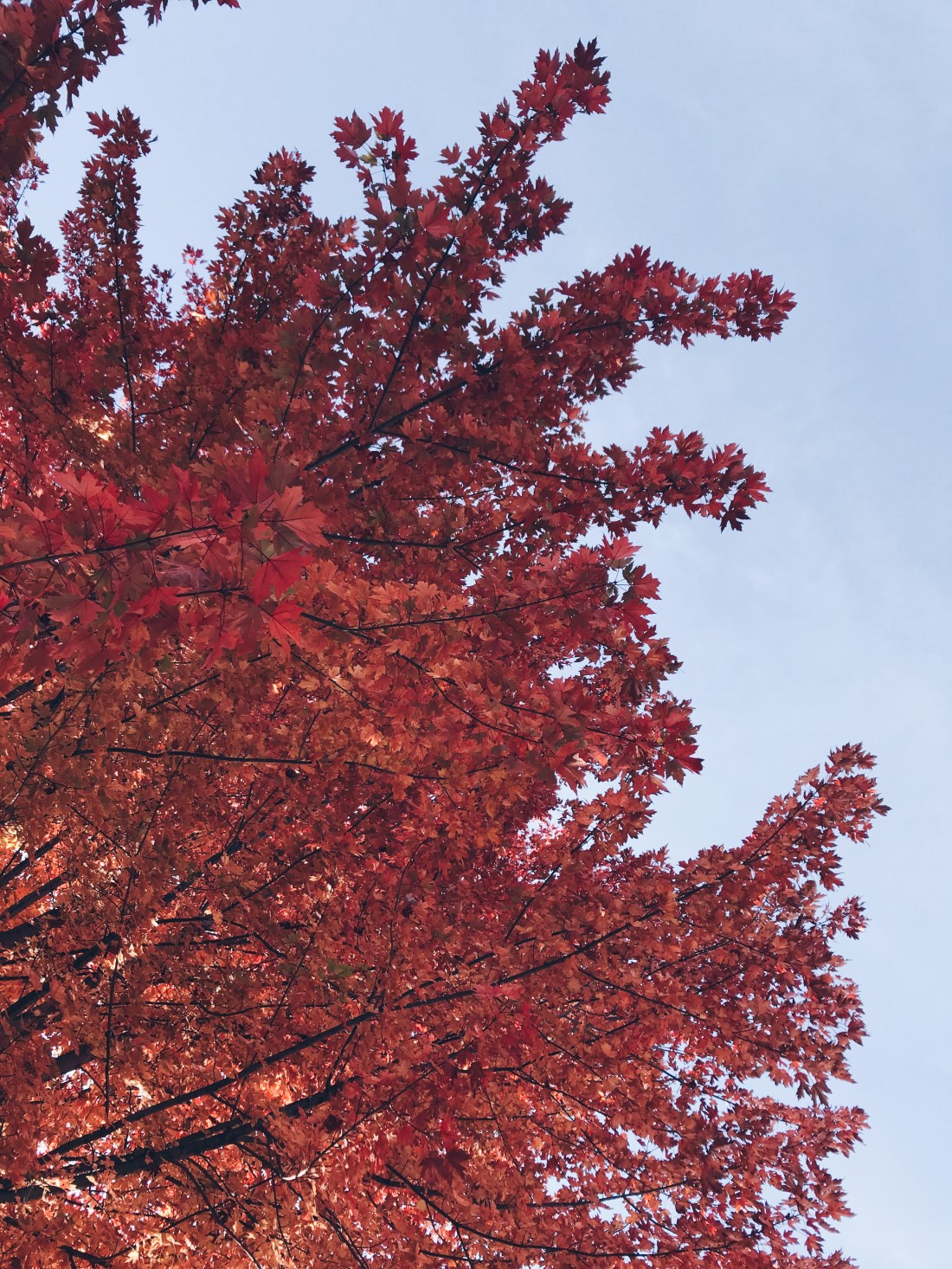 Processed with VSCO with hb1 preset