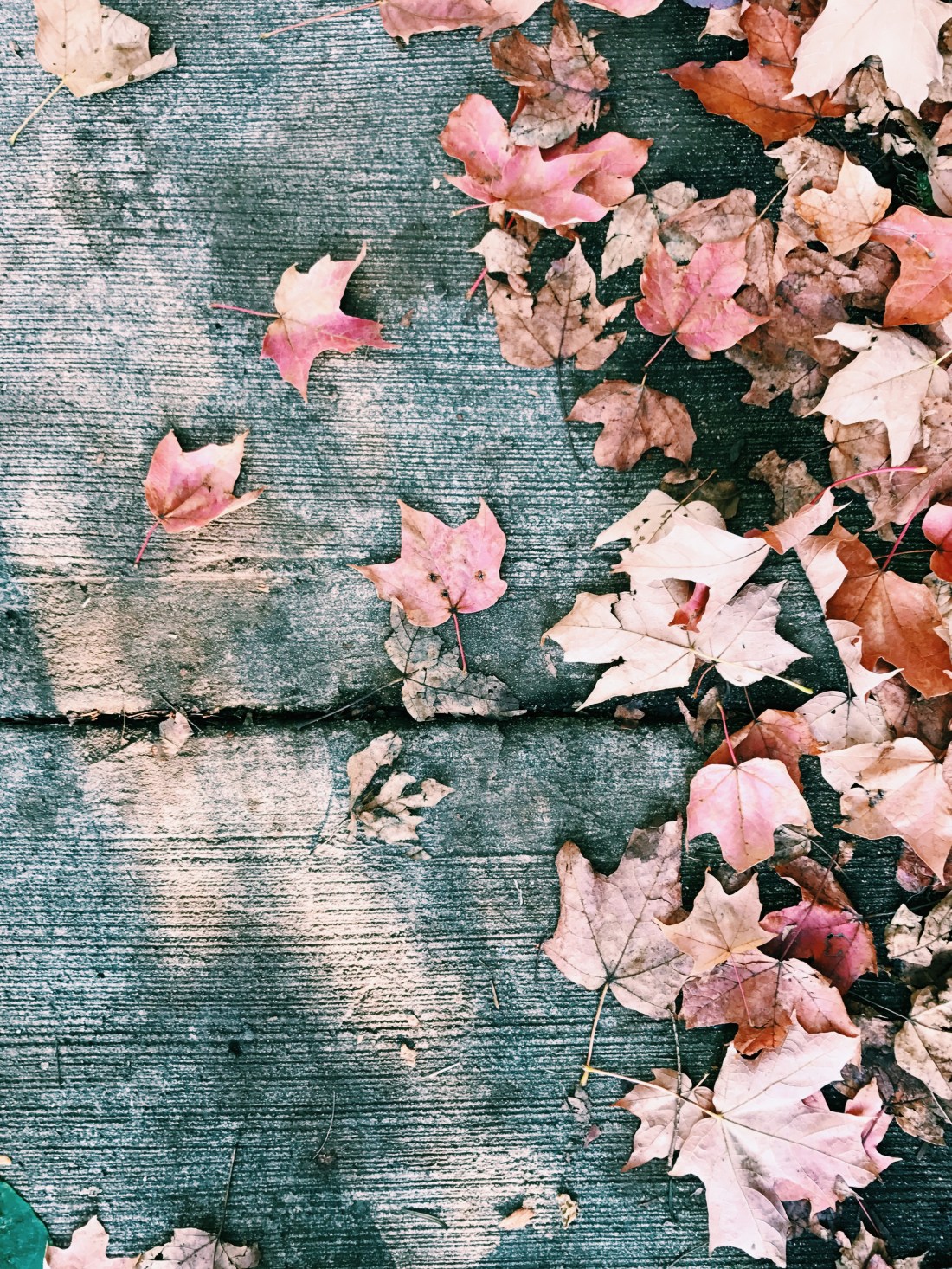 Processed with VSCO with c1 preset