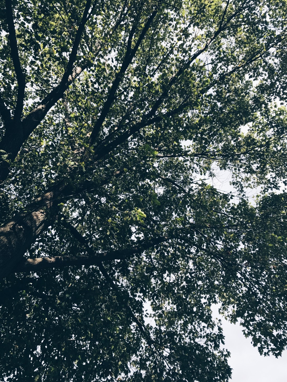 Processed with VSCO with hb1 preset