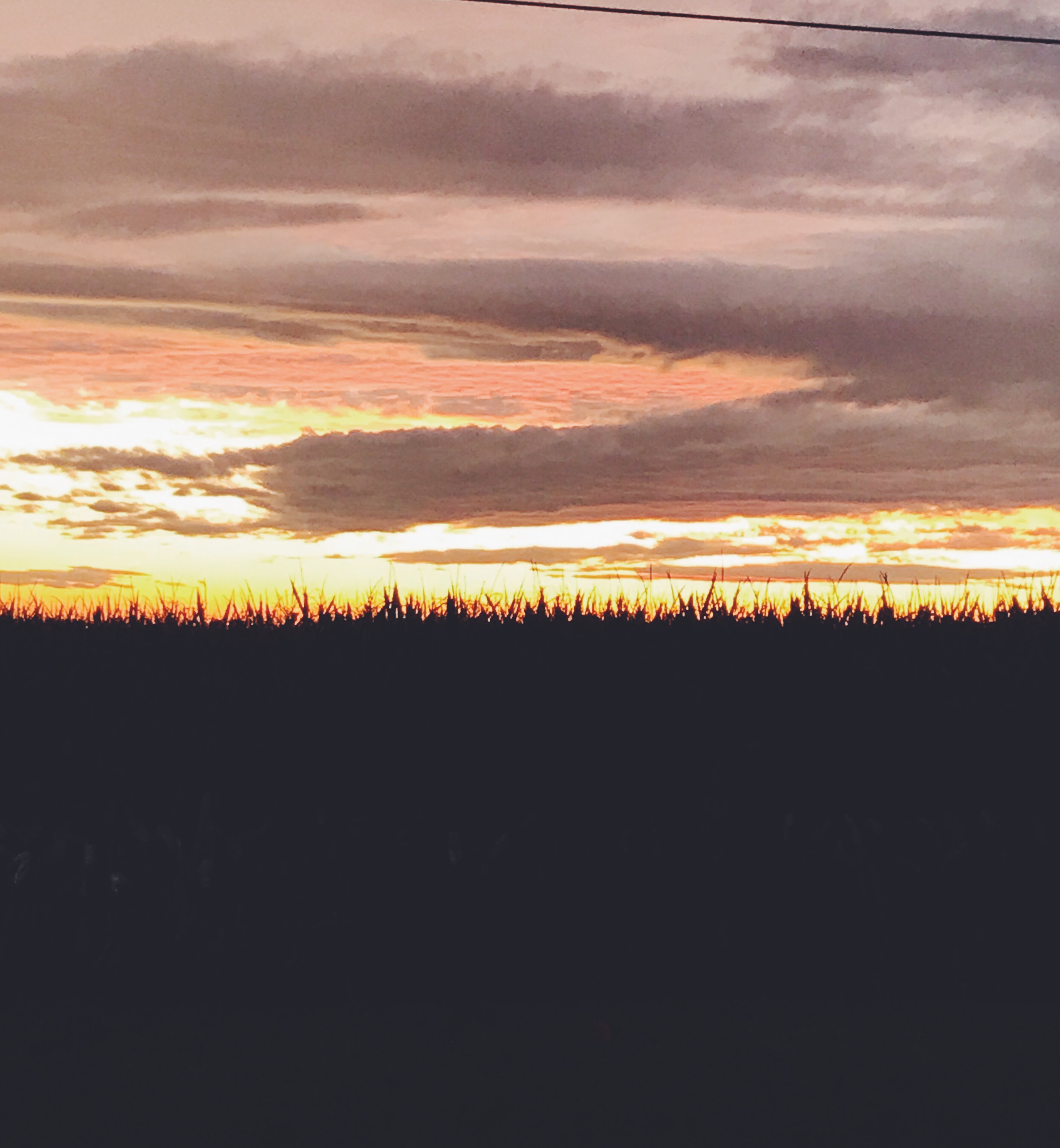 Processed with VSCO with f2 preset